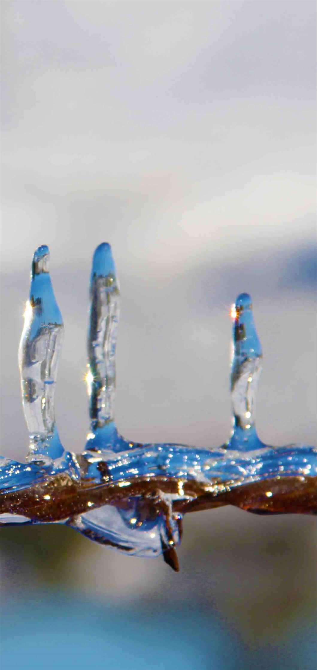 Fine Art Photography Exhibition 2021 "ICE" Art Exhibit Online